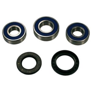 Wheel Bearing and Seal Kit All Balls Racing