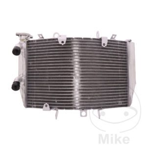 Radiator JMP Engine cooling system Fits Triumph Motorcycle 2011-2016